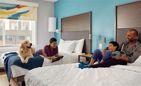 pet friendly hilton|tru by hilton pet friendly.